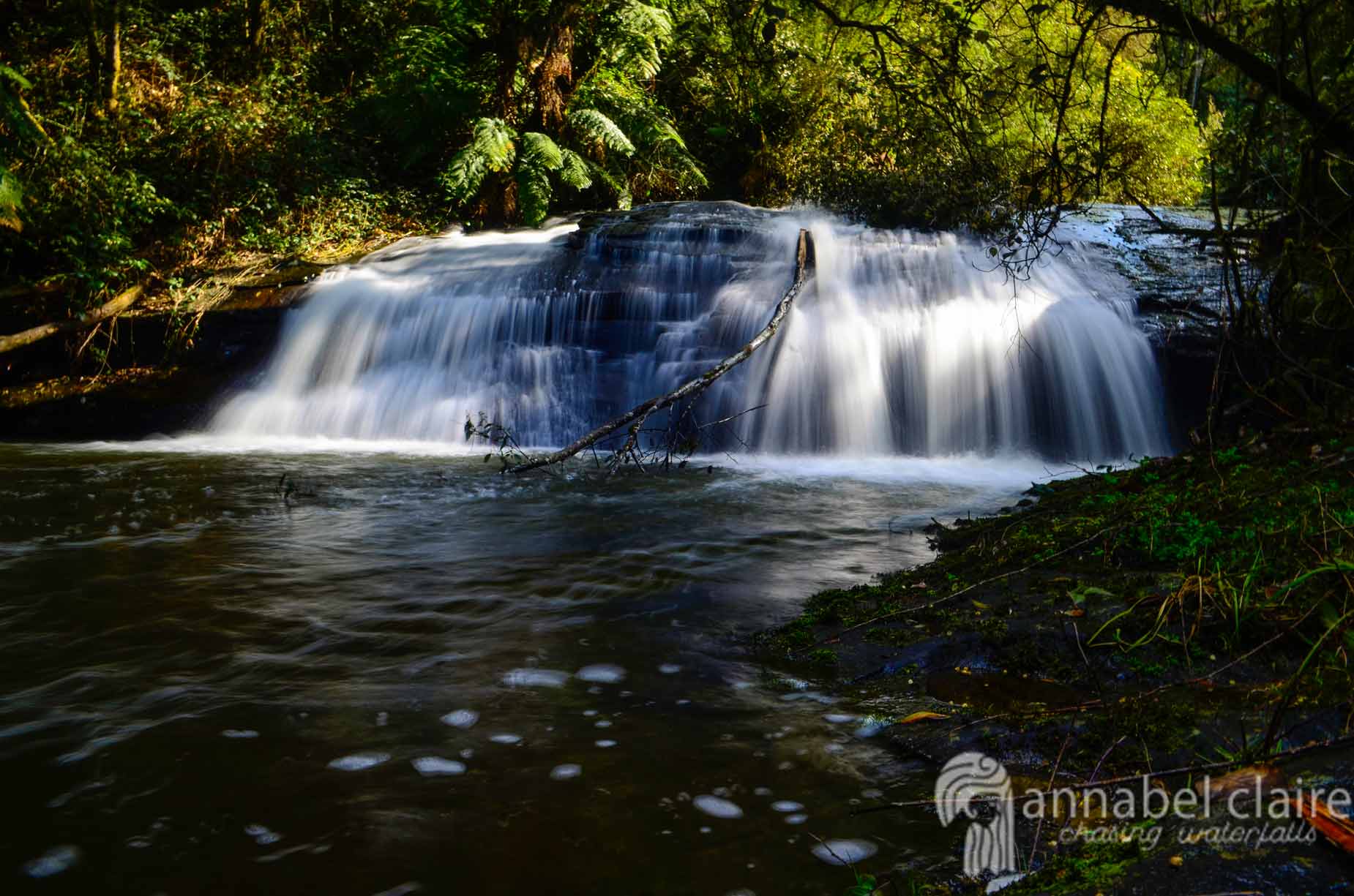 Image of Splitter Falls taken on Chasing Waterfalls trip to Lorne, Victoria