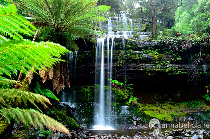 Image of Russell Falls taken on a chasing waterfalls trip in Tasmania